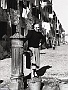 Vita del Portello (Fabio Fusar)